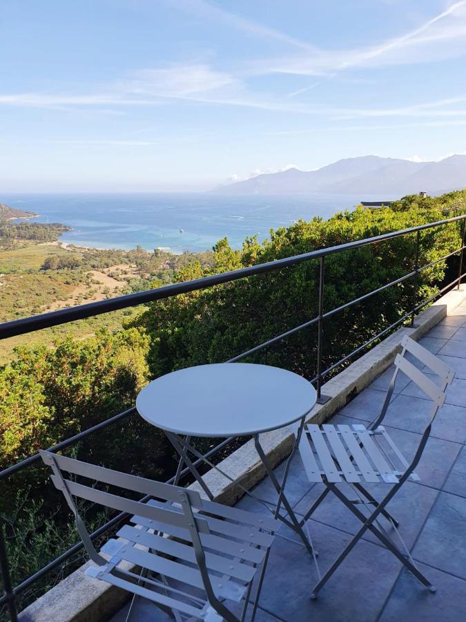 Les Hauts De Fromentica Saint-Florent  Luaran gambar